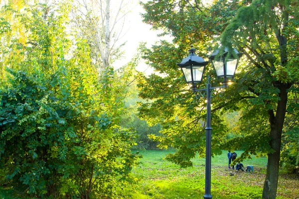 Vas utcai lámpák az őszi parkban. — Stock Fotó