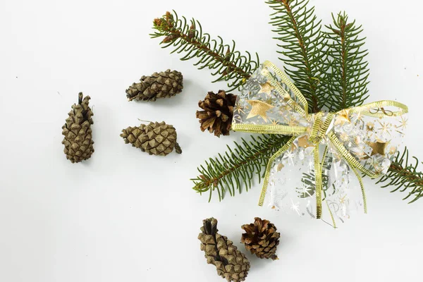 Spruce branches with cones on a white background.