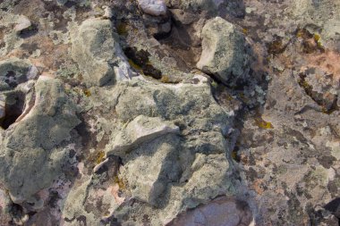 Doğa anıt - Kamyshinskye dağ kulaklar. 