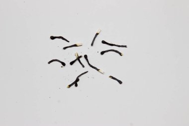 Yanık maç. Beyaz arka plan.