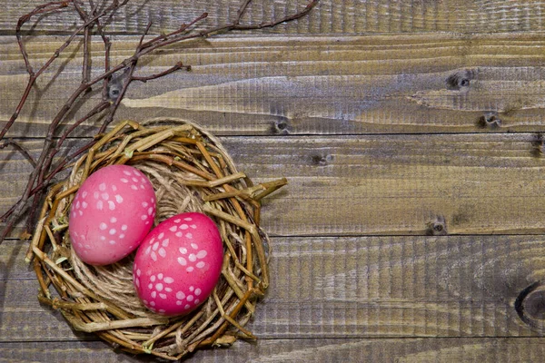 Húsvéti tojások a fészekben festett tojás. — Stock Fotó