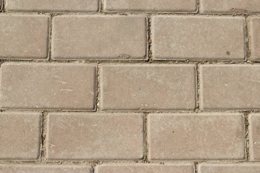 Kaldırım döşeme Park.