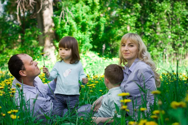 Una famiglia di quattro persone che si diverte nel parco . — Foto Stock