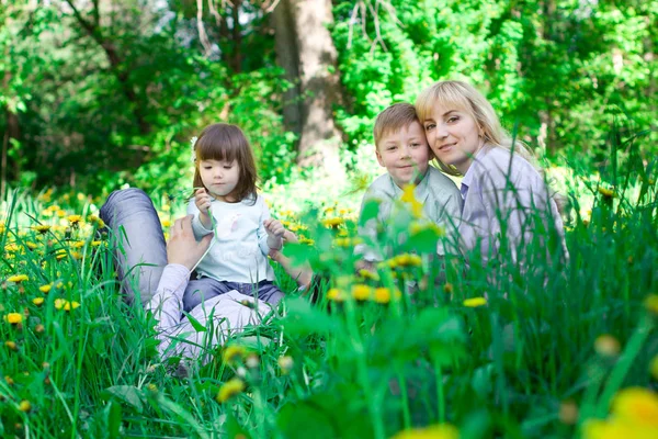 4 명이 공원에 있는 재미의 가족. — 스톡 사진