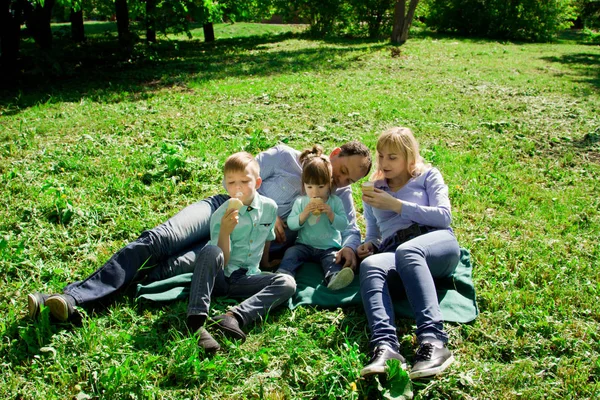 Una familia de cuatro comen helado al aire libre . — Foto de Stock