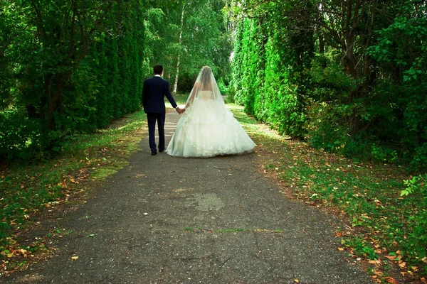 De bruid en bruidegom lopen rond het park in het park — Stockfoto