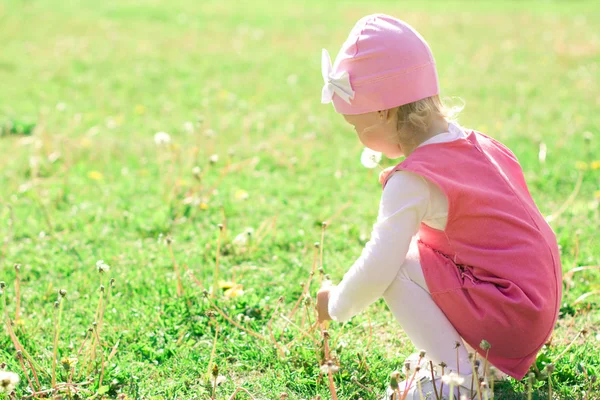 Petite fille joue avec les pissenlits dans le parc . — Photo