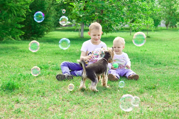 Deux frères jouent avec un chien et des bulles de savon dans le parc . — Photo