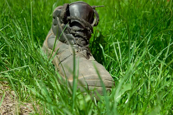 Een oud, vies en stoffig iemands schoen op groen gras. — Stockfoto