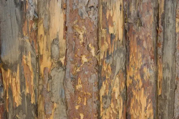 Valla, paletas de madera sin refinar. El pueblo ruso . — Foto de Stock