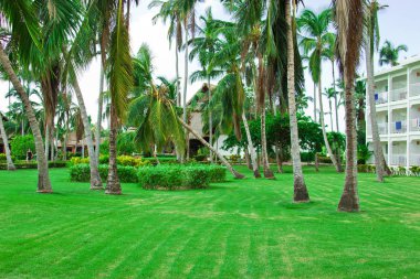 Otel Dominik Cumhuriyeti. Punta Cana