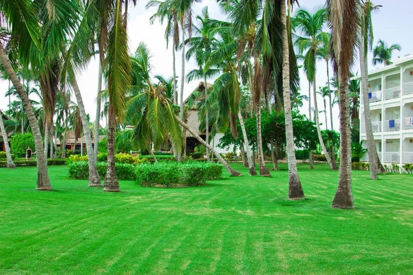 Hotel República Dominicana Punta Cana — Fotografia de Stock