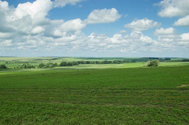 Rus alanları güzellik. Güzel yaz görünümü. 