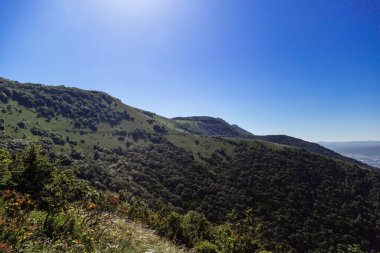 Markhotsky sırtı baharda, Gelendzhik