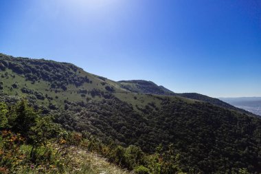 Markhotsky sırtı baharda, Gelendzhik