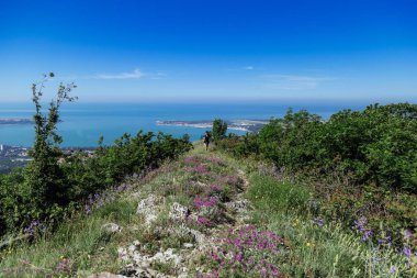 Kız doğada yalnız olmaktan hoşlanıyor. Bahar Gelendzhik.
