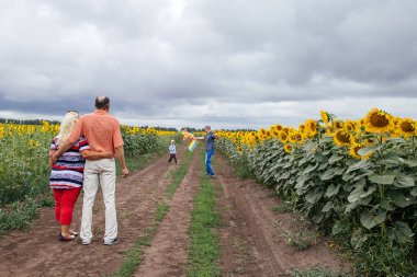 Yaşlı bir çift, çocukları ve torunlarıyla birlikte ayçiçeği tarlasında yürümekten zevk alır. Kırsal alan, Rusya.