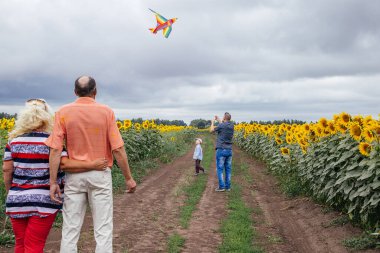 Yaşlı bir çift, çocukları ve torunlarıyla birlikte ayçiçeği tarlasında yürümekten zevk alır. Kırsal alan, Rusya.