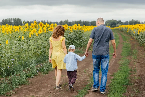 A young family of 3 people walking in a field of sunflowers. Rural area, Russia.