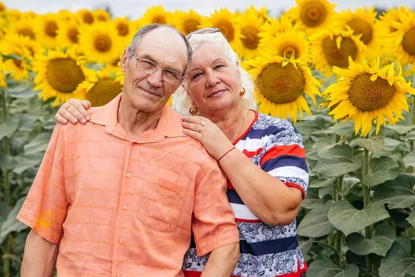 Couple Âgé Profite Une Promenade Dans Champ Tournesols Zone Rurale Images De Stock Libres De Droits