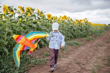 Bir çocuk ayçiçeği tarlasında bir uçurtma tutuyor. Kırsal alan, Rusya.