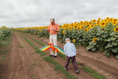 Büyükbaba torunuyla birlikte bulutlu bir günde ayçiçeği tarlasında uçurtma uçuruyor. Kırsal alan, Rusya.
