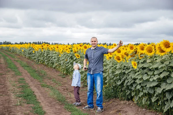 Pai Filho Lançam Papagaio Num Campo Girassóis Área Rural Rússia — Fotografia de Stock