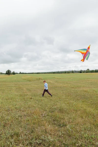 Garçon Lance Cerf Volant Sur Terrain Zone Rurale Russie — Photo