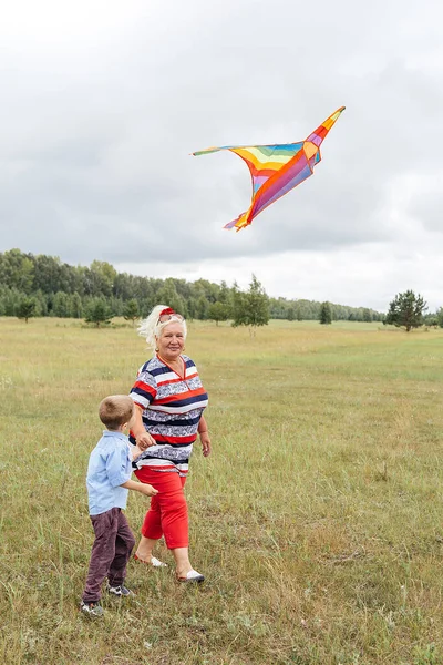 Une Famille Fait Voler Cerf Volant Sur Terrain Zone Rurale — Photo