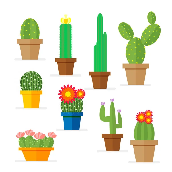 Set di cactus in una pentola. Pianta domestica con fiori per la decorazione della stanza. Vettore, illustrazione isolata su sfondo bianco EPS10 . — Vettoriale Stock