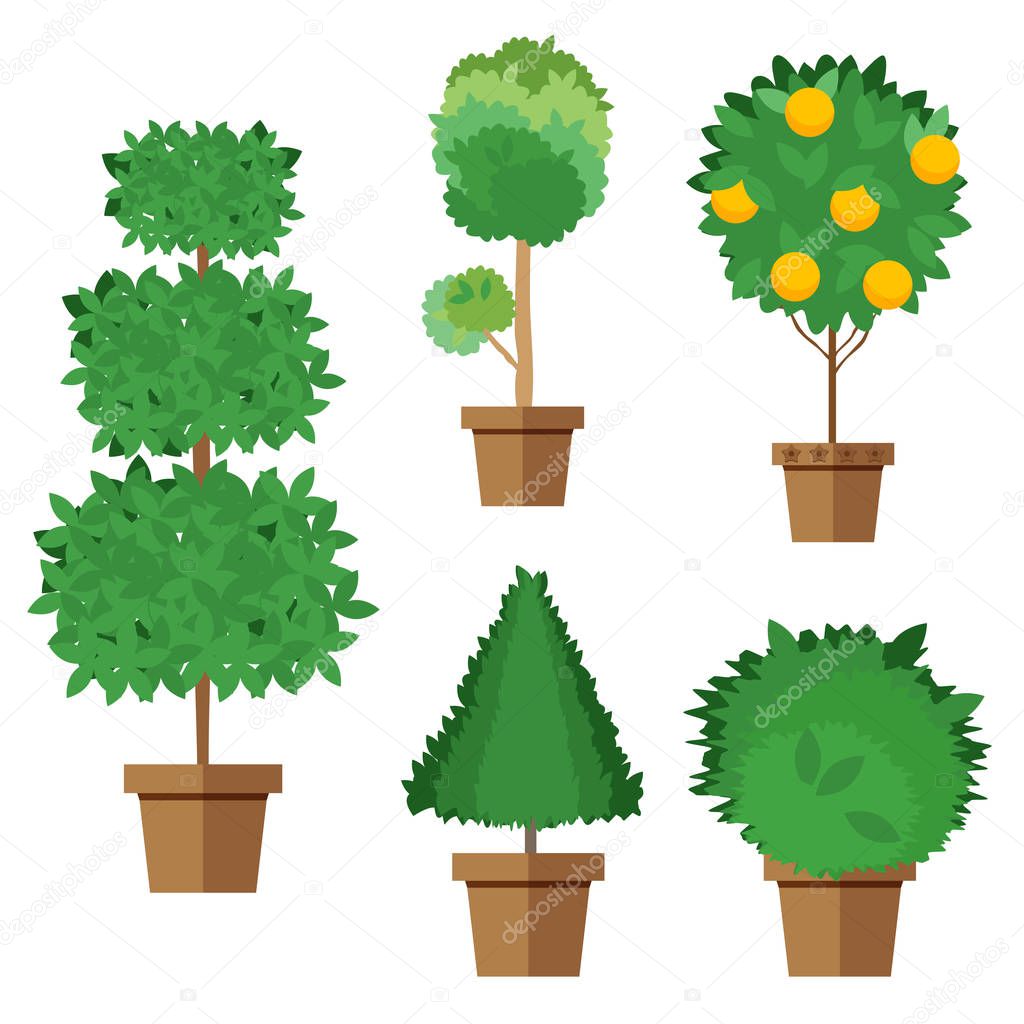 Set of street trees and shrubs in pots. Vector, illustration in flat style isolated on white background EPS10.