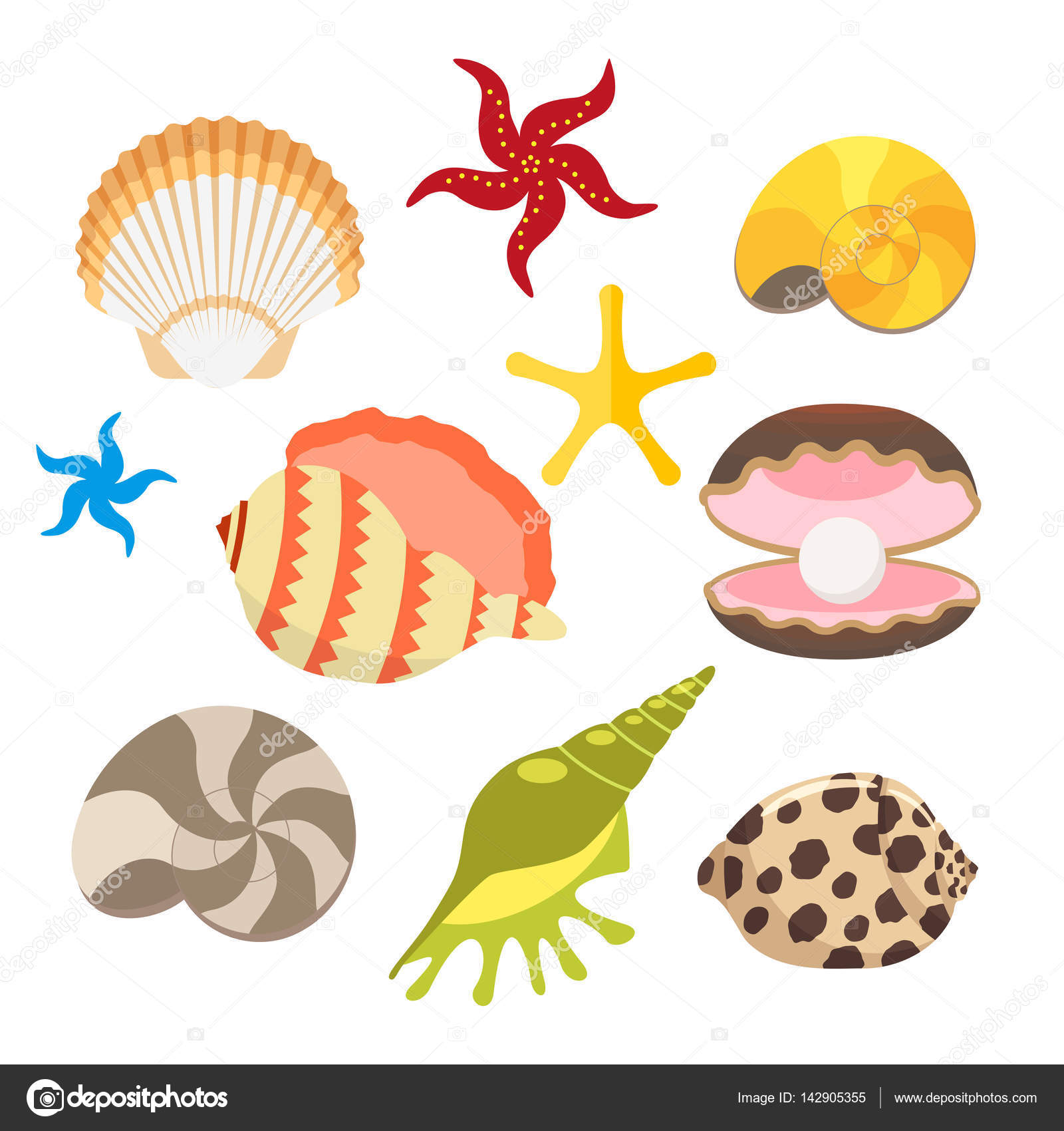 Set di mare conchiglie ostriche con perle e stelle di mare lumache Vettore