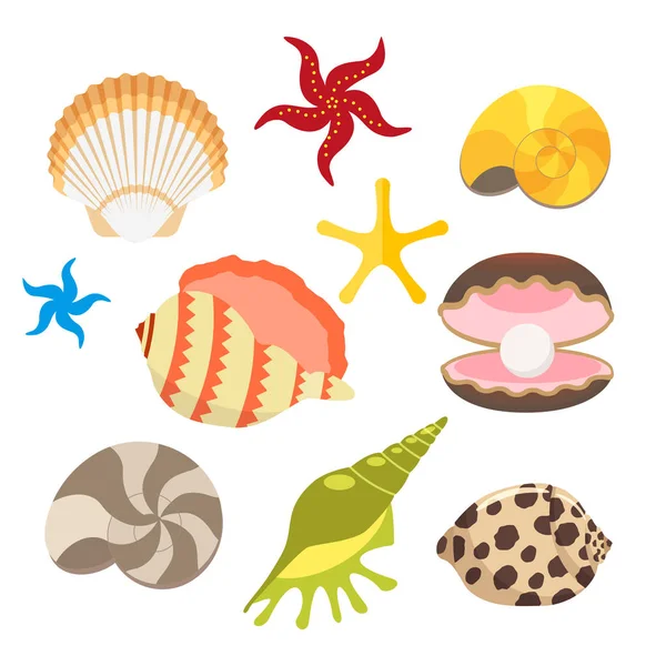 Conjunto de conchas do mar, ostras com pérolas e estrelas do mar, caracóis. Vetor, ilustração em estilo plano isolado sobre fundo branco EPS10 . —  Vetores de Stock