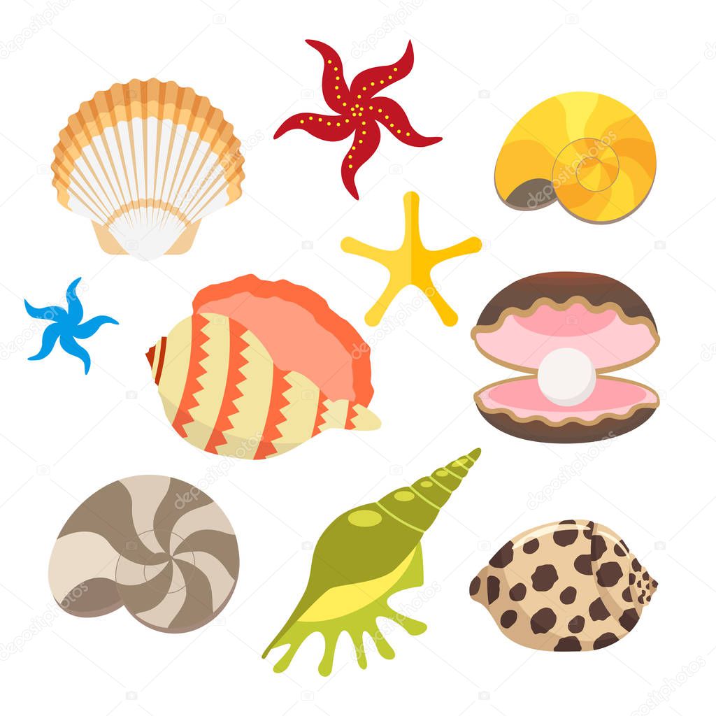 Set of sea shells, oysters with pearls and sea stars, snails. Vector, illustration in flat style isolated on white background EPS10.