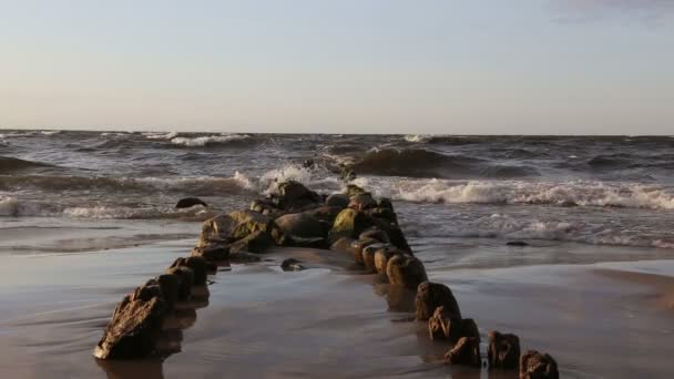 Viejos rompeolas ir al mar — Vídeos de Stock