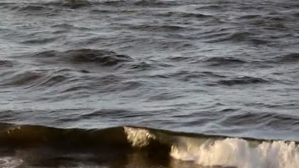 The waves of the Baltic — Stock Video