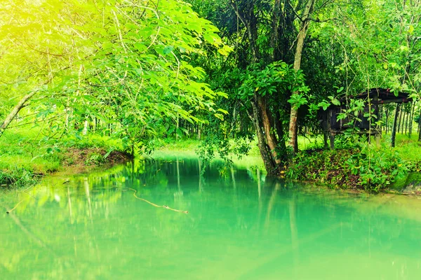 Vintage landscape and river background — Stock Photo, Image