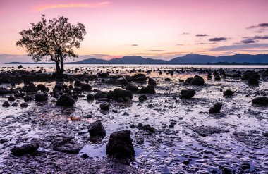 Deniz manzarası renkli gökyüzü ile alacakaranlık