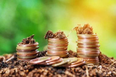 Kaydetme para ve hesap ekonomi kavramı