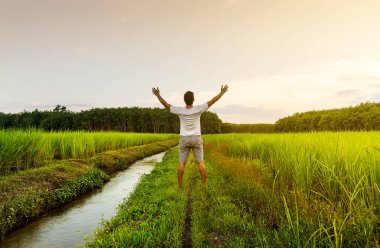 Adam sakin ol gündoğumu veya günbatımı ile pirinç alan üzerinde