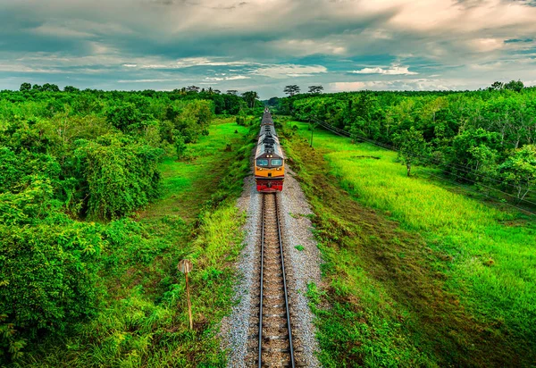 Trein op het spoorvervoer in bos en kleur van zonsondergang — Stockfoto