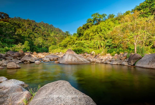 Río piedra y árbol verde, río piedra en árbol verde tropical i — Foto de Stock