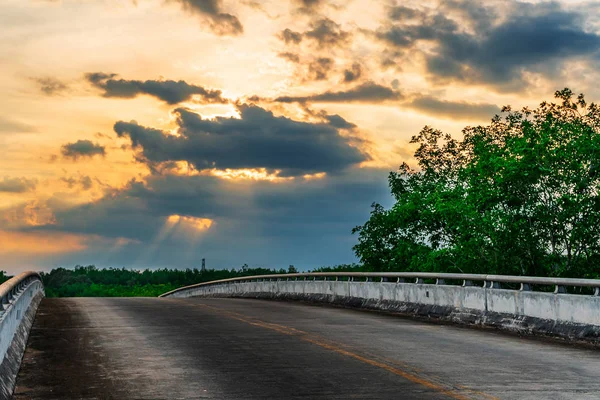 Road with tree nature in sunlight — Stock Photo, Image