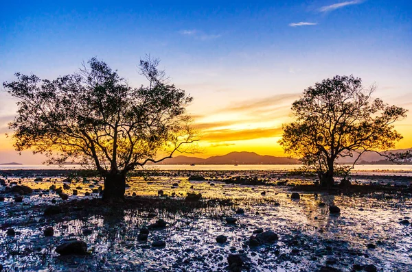 Sea sunset or sunrise with colorful of sky and cloud in twilight — Stock Photo, Image