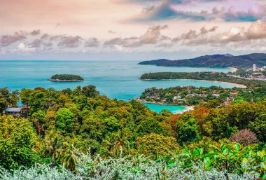 Dağda deniz manzarası ve gökyüzünde mavi deniz olan ağaç.