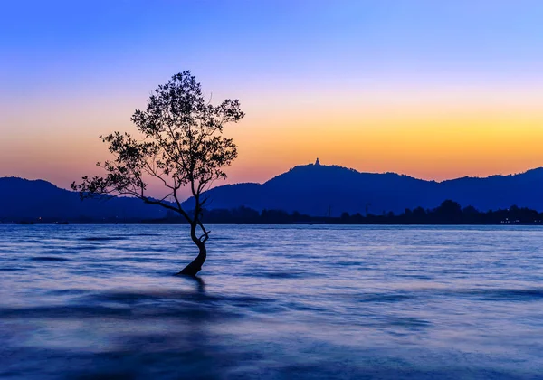 Gün batımı ya da gün doğumu ağaçla ve gökyüzü renkleriyle ve alacakaranlıkta güneş ışığı ile bulutlarla