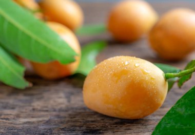 Ağaç gövdeleri ve yapraklarla kesilmiş erik mangoları. Thai Gandaria Fruit (Mayongchid Maprang Marian Plum veya Plum Mango) Yaklaş