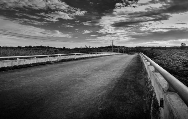 Güneş Işığında Ağaç Doğası Ile Yol Doğada Yol Siyah Beyaz — Stok fotoğraf