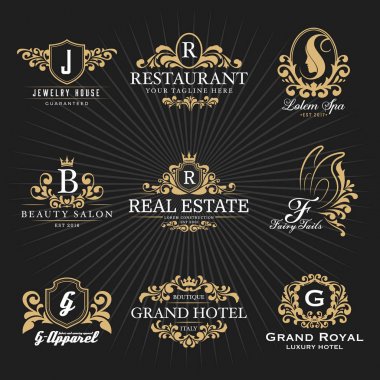 Vintage Kraliyet hanedan Monogram ve çerçeve logosu dekoratif tasarım