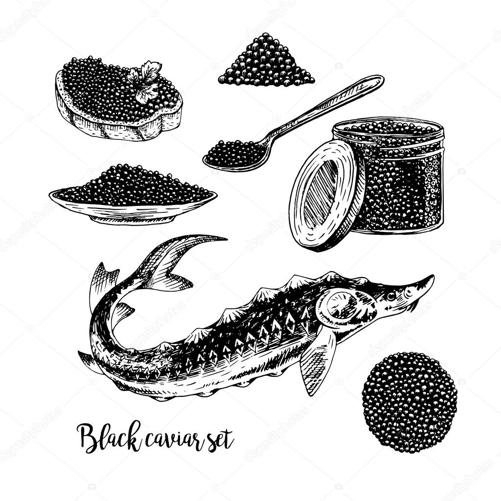 Hand drawn set of black caviar.